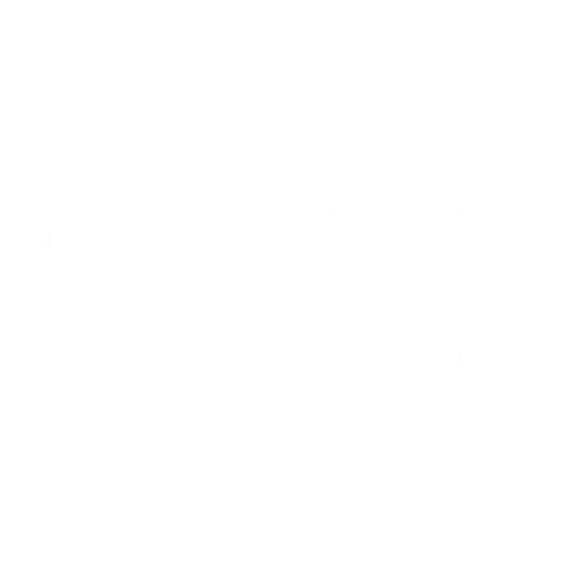 Vonixx